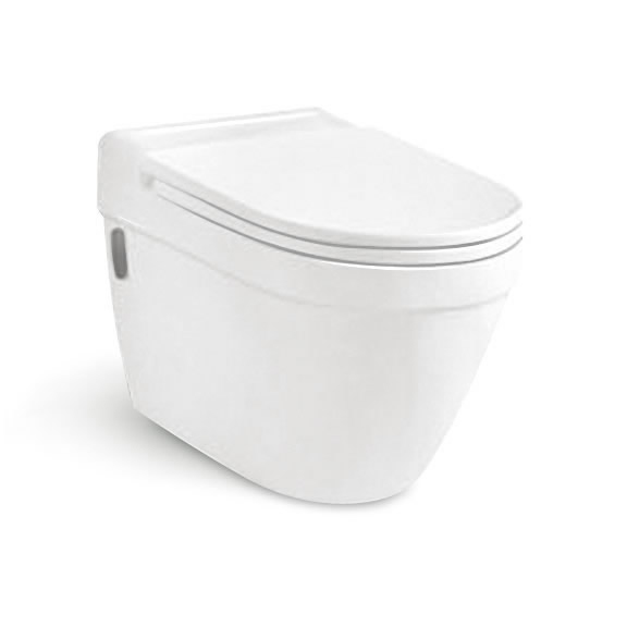 Wall Hung Toilet T8208